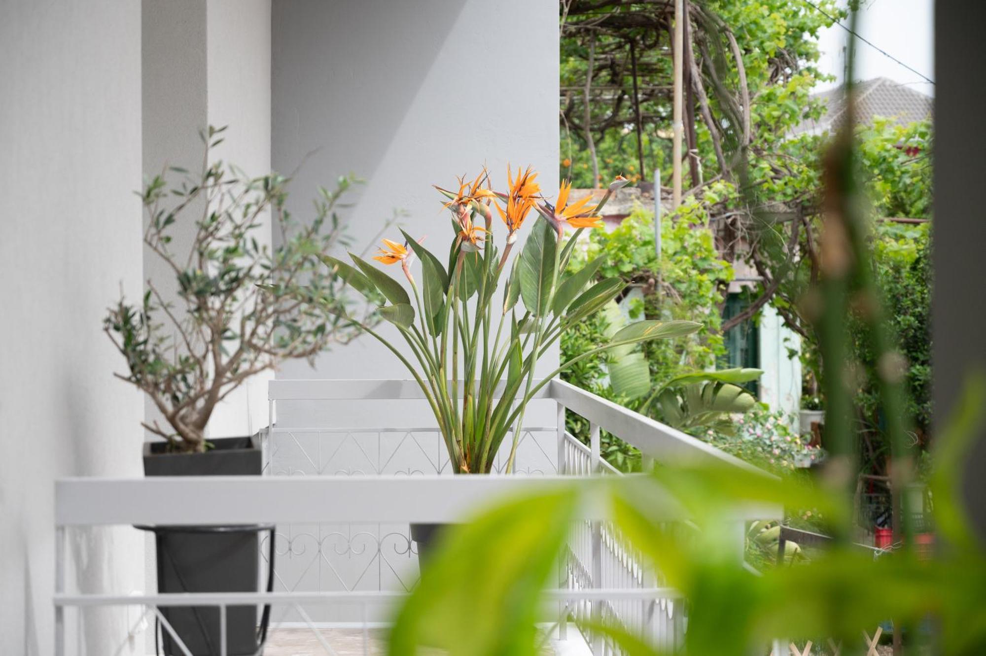 Louisa Luxury Apartments Préveza Kültér fotó